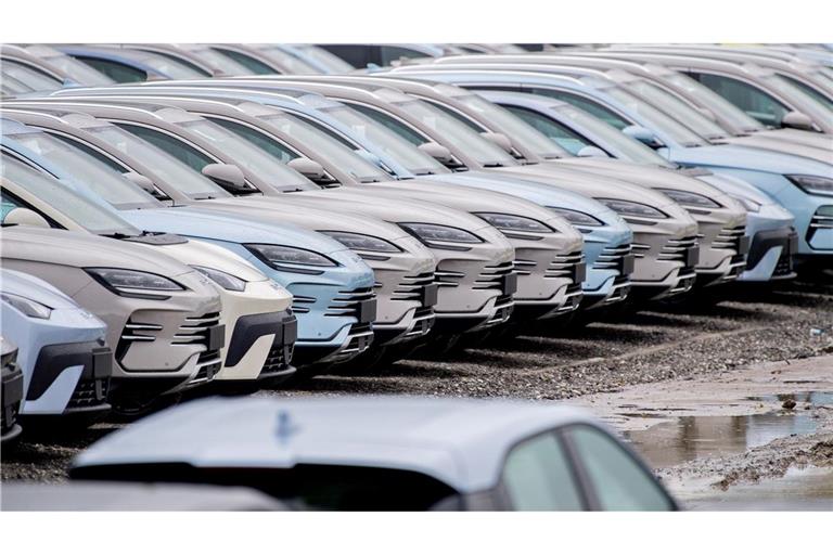 Der chinesische E-Auto-Hersteller BYD konnte seinen Absatz in Deutschland im Oktober erneut steigern. (Archivbild)