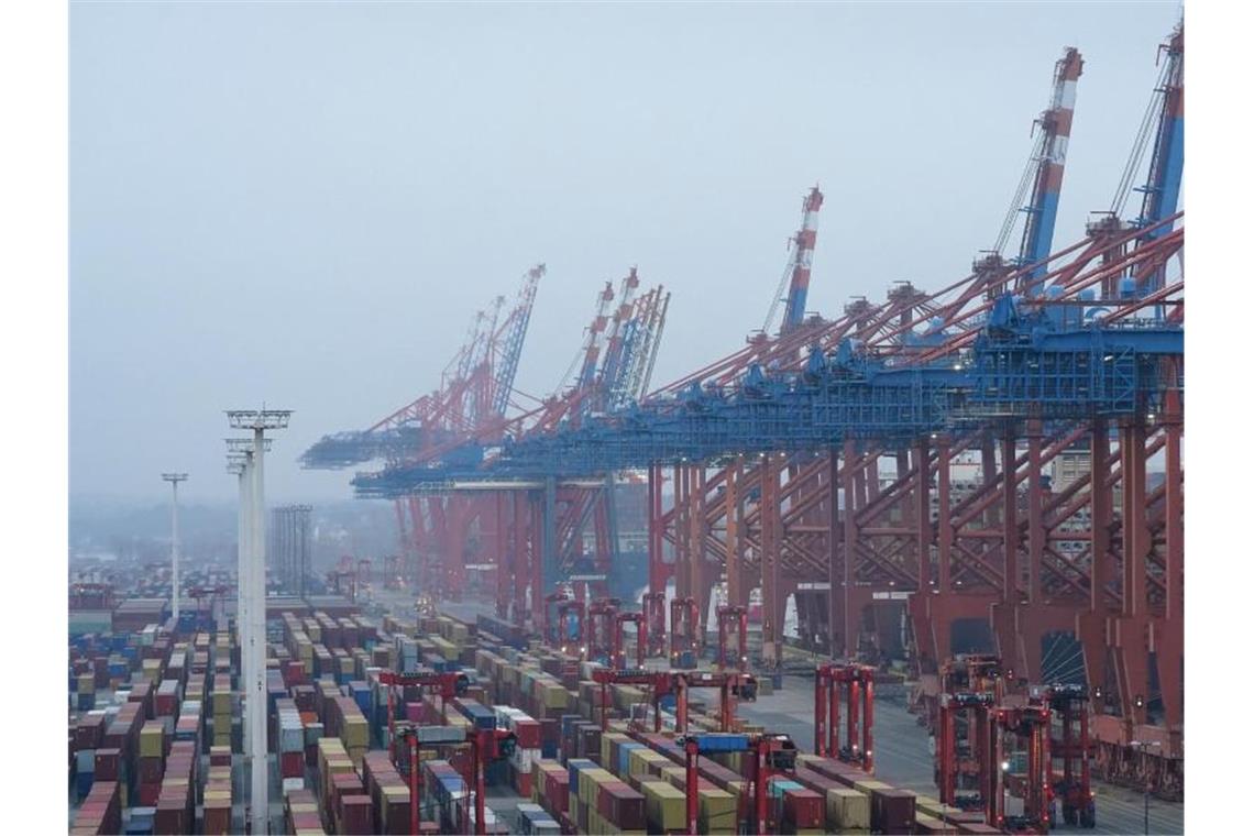 Der Containerterminal im Hamburger Hafen. Foto: Marcus Brandt/dpa