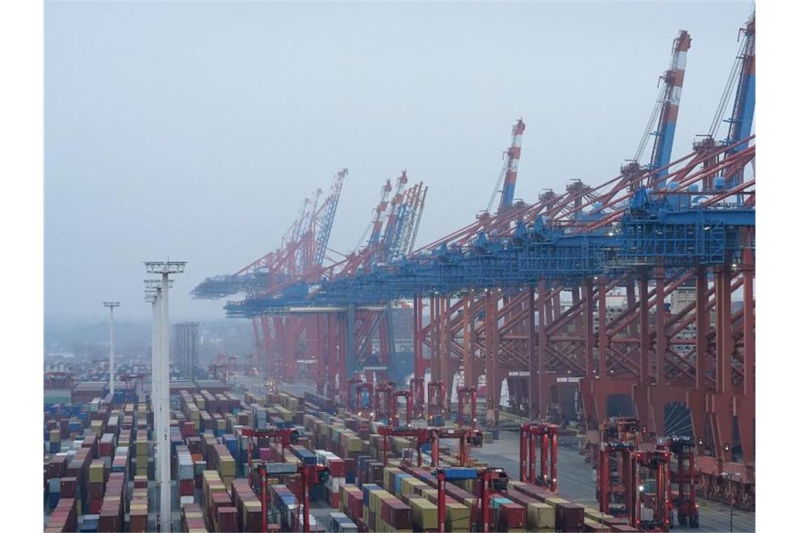 Seehäfen fordern kräftigen Ausbau des Schienennetzes Der Containerterminal im Hamburger Hafen. Foto: Marcus Brandt/dpa