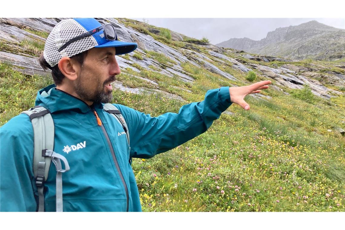 Der DAV-Geowissenschaftler Tobias Hipp zeigt auf die Vegetation - hier war früher Gletscher.