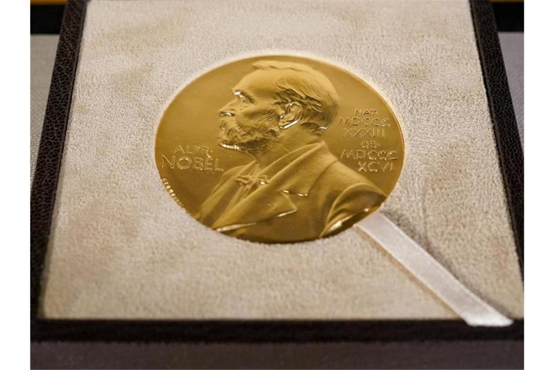 Nobelpreis für deutschen Klimaforscher Der Deutsche Klaus Hasselmann erhält zusammen mit zwei weiteren Wissenschaftlern den diesjährigen Physik-Nobelpreis. Foto: Mary Altaffer/Pool AP/dpa