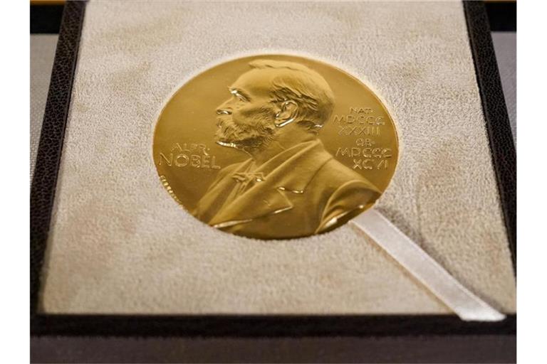 Der Deutsche Klaus Hasselmann erhält zusammen mit zwei weiteren Wissenschaftlern den diesjährigen Physik-Nobelpreis. Foto: Mary Altaffer/Pool AP/dpa