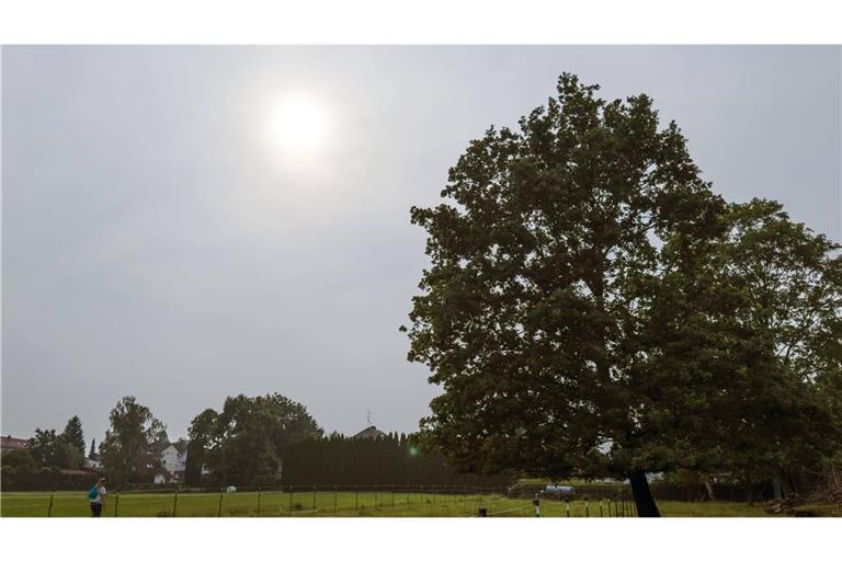 Der Deutsche Wetterdienst prognostiziert in den kommenden Tagen einen trüben Himmel über Baden-Württemberg. (Symbolfoto)