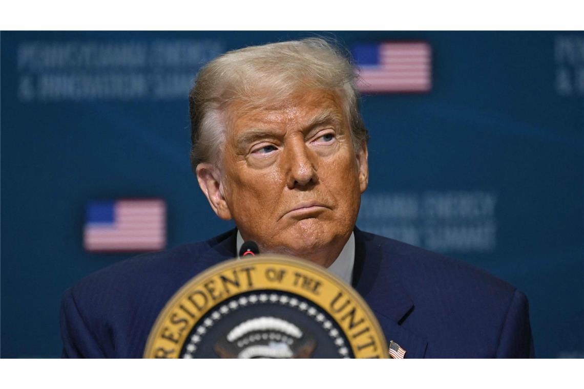 Der Druck auf Donald Trump im Fall Epstein wächst. (Archivbild)
