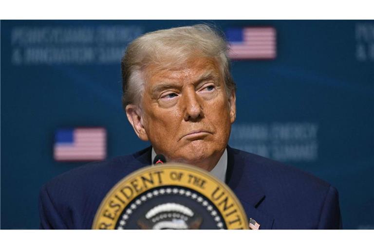 Der Druck auf Donald Trump im Fall Epstein wächst. (Archivbild)