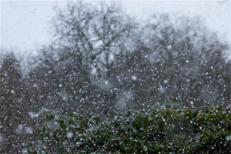 Der DWD erwartet heute teils kräftigen Schneefall in BW.