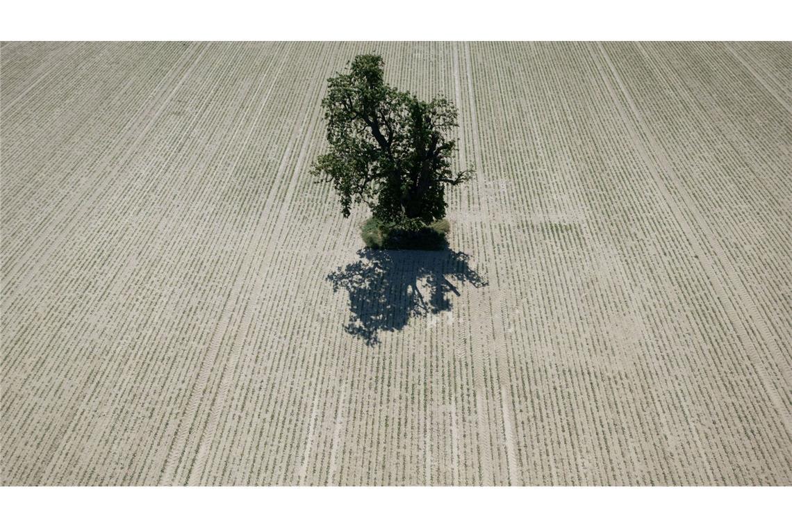 Wetterdienst misst extreme Trockenheit im Frühjahr Der DWD wertet für seine Bilanz mehr als 2.000 Messstationen aus. (Archivbild)
