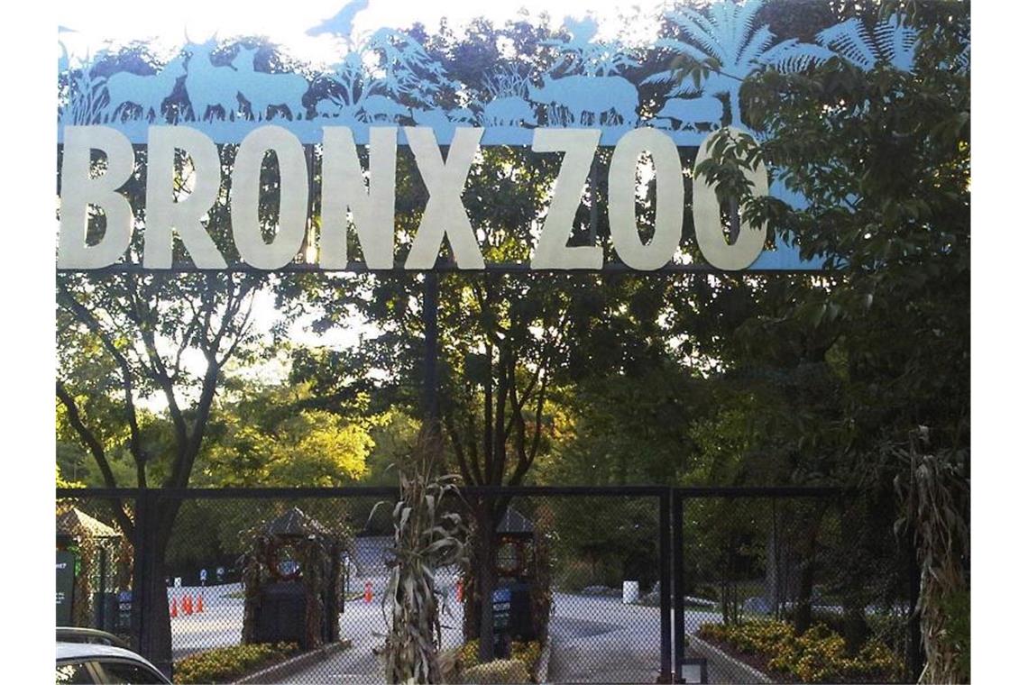 der Eingang zum Bronx Zoo in New York, wo sich die Übertragung des Virus von Mensch auf Tier ereignete. Foto: Jim Fitzgerald/AP/dpa