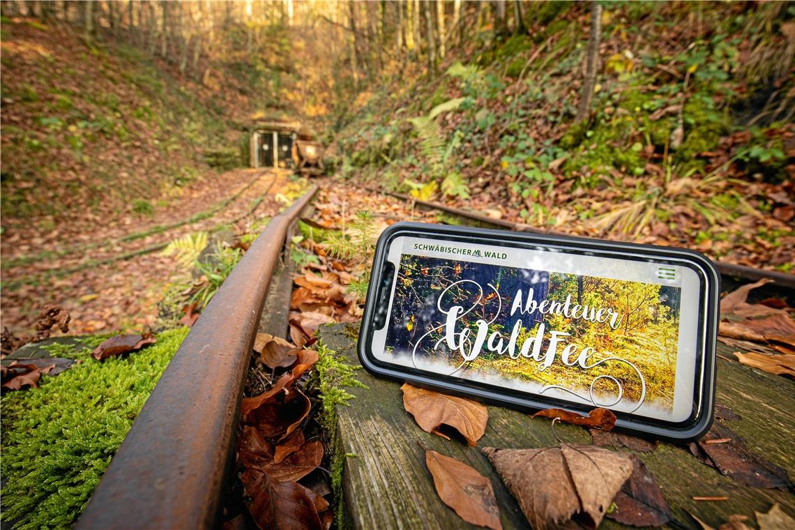 Der Eingang zum Wetzsteinstollen ist eine der 13 Stationen, die die interaktive Geschichte um denSchwäbischen Wald ausmachen. Foto: A. Becher