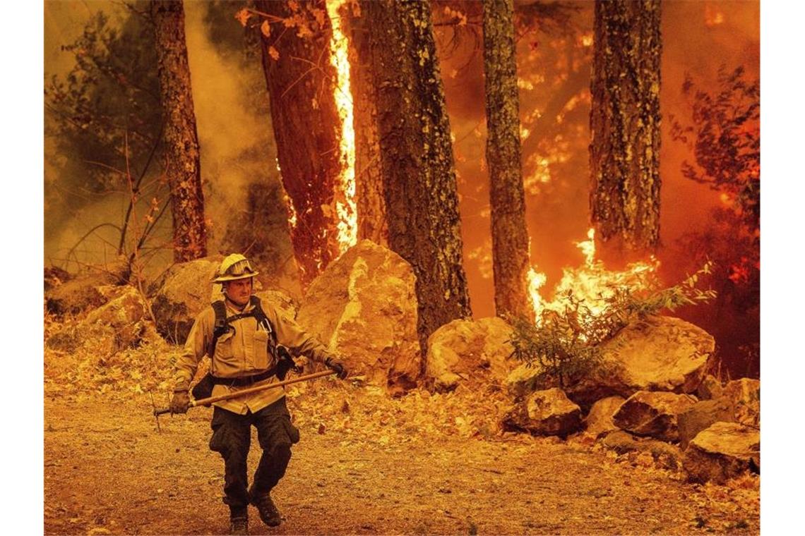 Waldbrände in Kalifornien: Durch Winde drohen neue Feuer