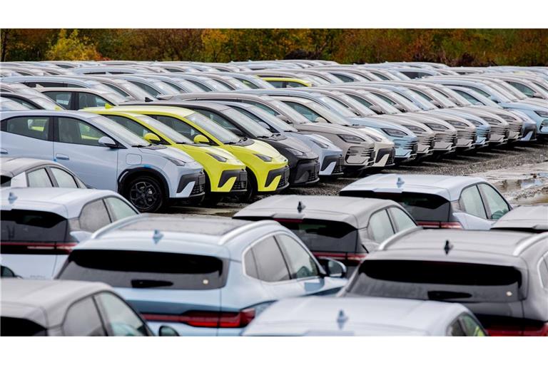 Der Elektroautoabsatz ist im November in Deutschland erneut deutlich gestiegen. (Archivbild)