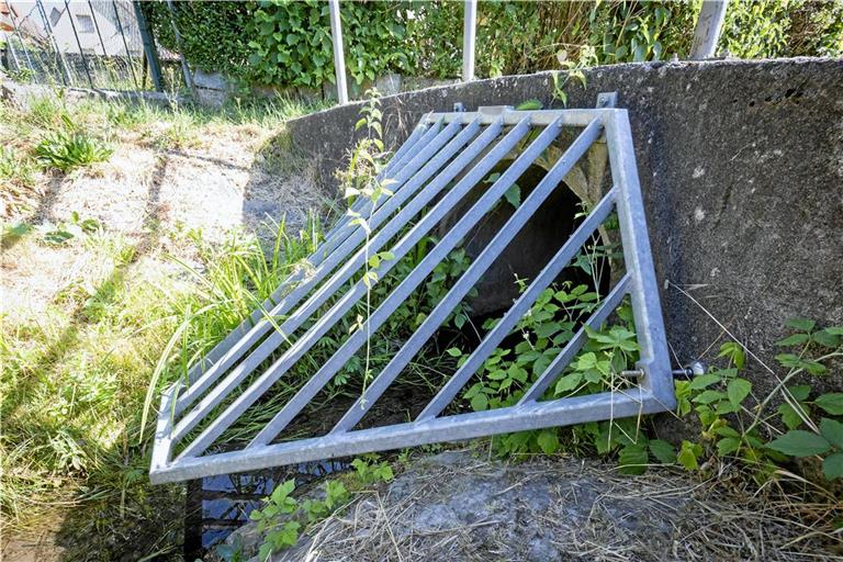 Der Erlenbach ist ein kleines Gewässer. Trotzdem ist es wichtig, bei kritischen Wasserständen über diese informiert zu werden. Am Verdolungseinlauf wurde jetzt ein Pegel installiert. Symbolfoto: Alexander Becher