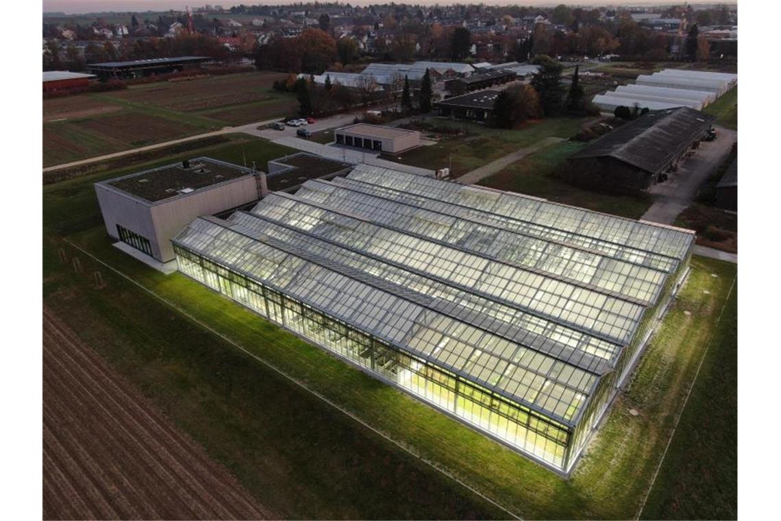Der erste Teil des neuen Hightech-Forschungsgewächshauses Phytotechnikum ist zu sehen. Foto: Christian Trautmann/Universität Hohenhe/dpa