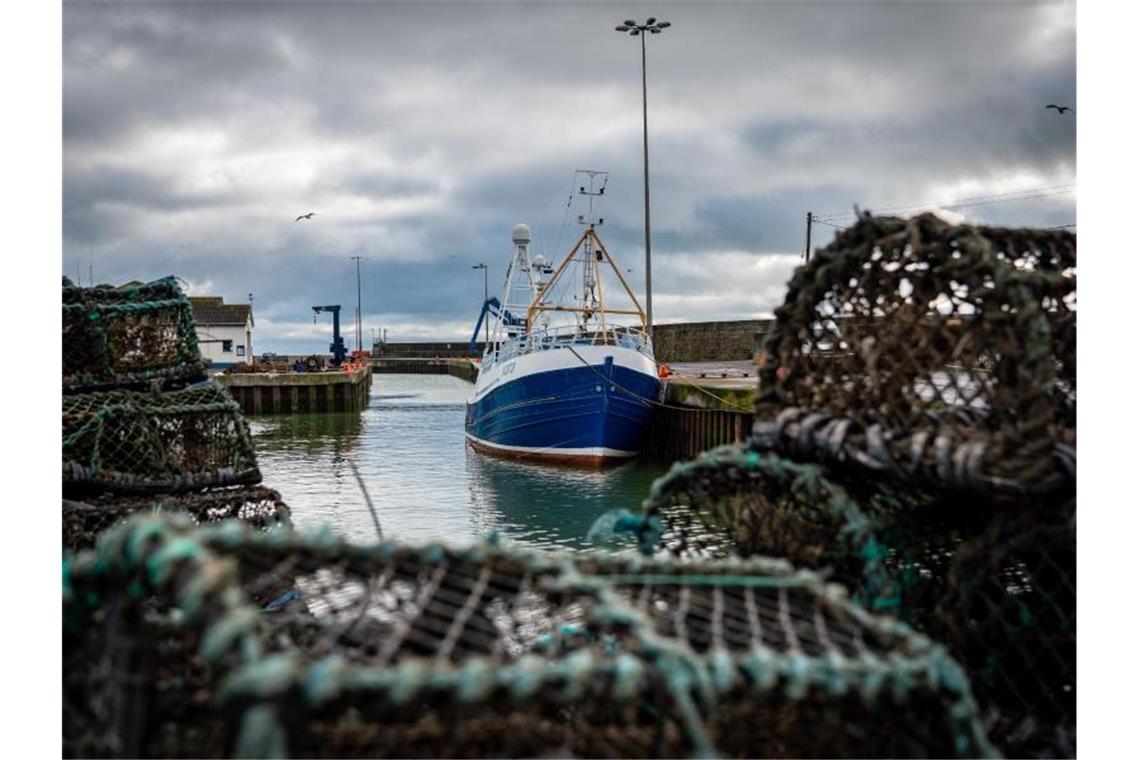 Studie: Brexit kostet britische Fischer 300 Millionen Pfund
