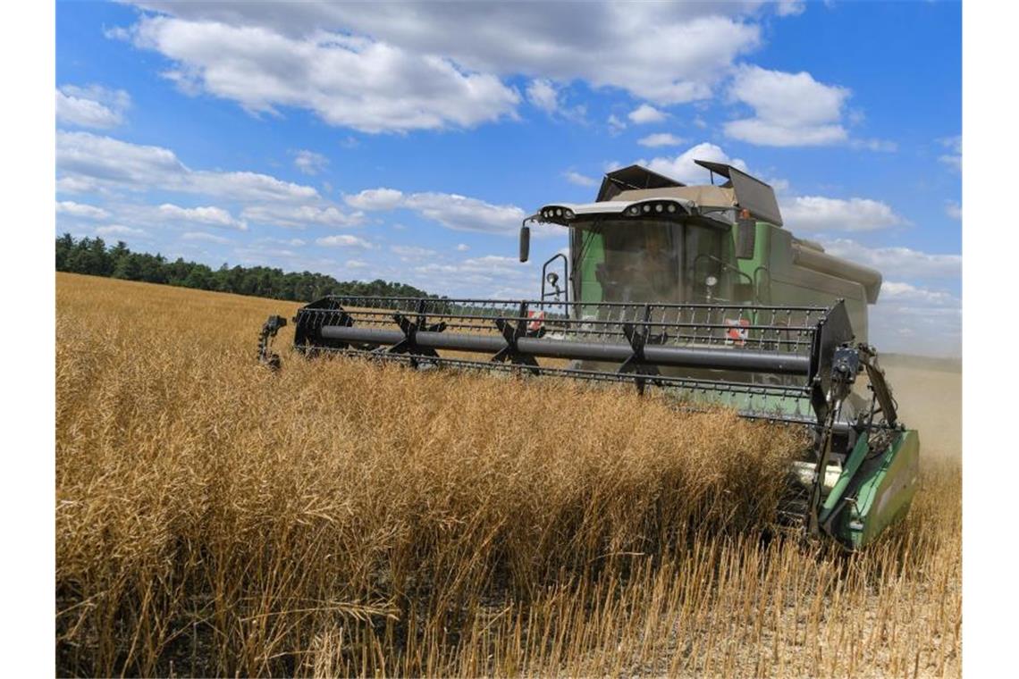 Bauernverband will weiter Pflanzen für Biosprit anbauen Der Export von Weizen, Roggen und Gerste aus Russland wurde gestoppt. Auch die Ukraine ist ein wichtiger Weizenlieferant in Europa. Foto: Patrick Pleul/dpa-Zentralbild/dpa