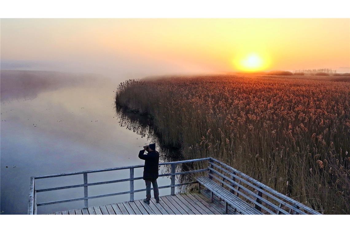 Der Federsee in Bad Buchau, Oberschwaben ist mit einer Fläche von 1,4 Quadratkilometern der zweitgrößte See in Baden-Württemberg. Mit insgesamt  33 Quadratkilometer gehört das Gebiet zum  größten Moor Südwestdeutschlands.