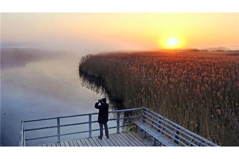 Der Federsee in Bad Buchau, Oberschwaben ist mit einer Fläche von 1,4 Quadratkilometern der zweitgrößte See in Baden-Württemberg. Mit insgesamt  33 Quadratkilometer gehört das Gebiet zum  größten Moor Südwestdeutschlands.