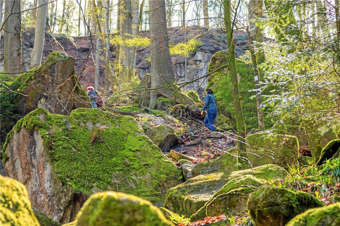 Der Feenspuren-Wanderweg Felsenmeer führt auf 6,5 Kilometern Länge unter anderem zum Riesbergturm bei Murrhardt. Archivfoto: Stefan Bossow
