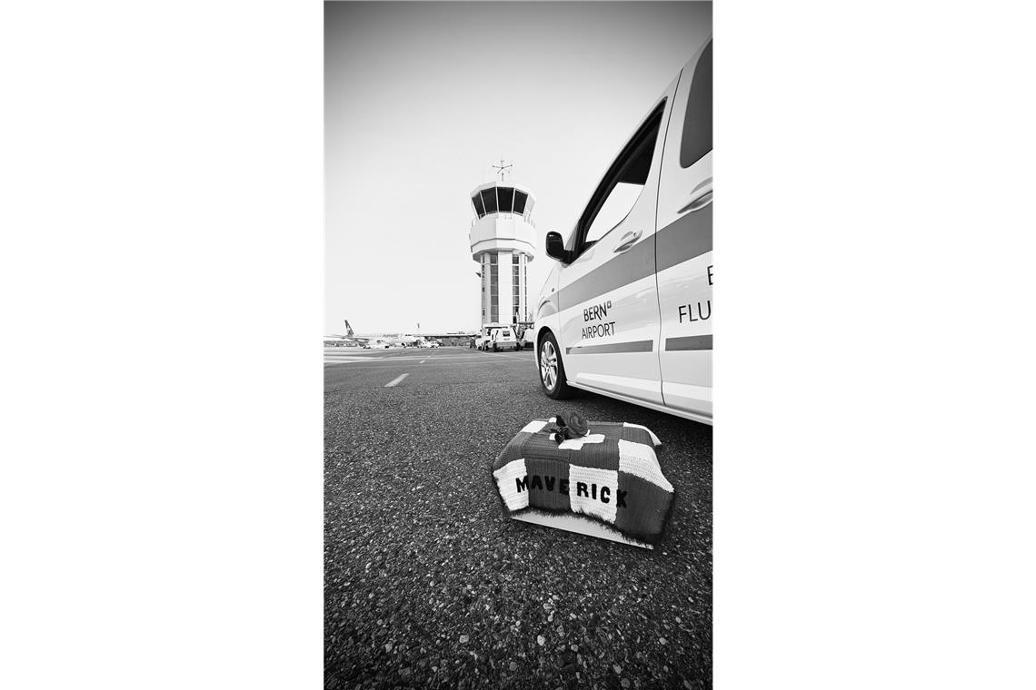 Der Flughafen Bern trauert um Kater Maverick.
