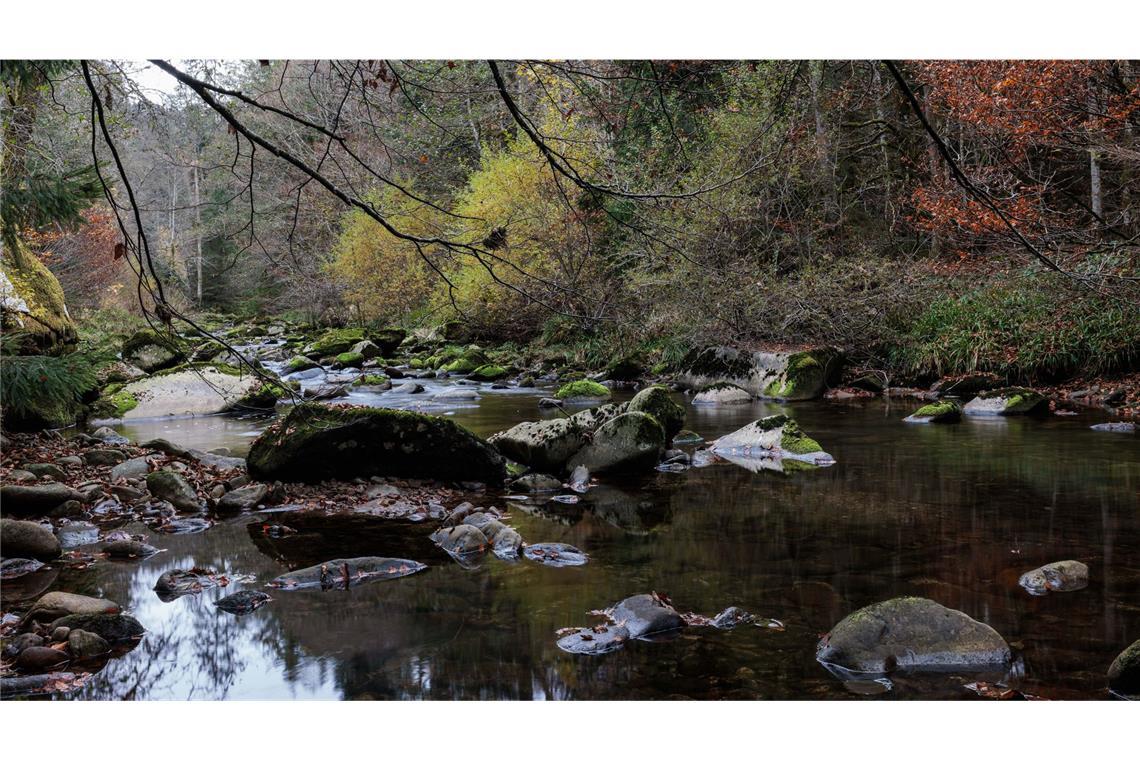 Kretschmann sieht Hürde bei Ausweitung von Nationalpark Der Fluss Schönmünz fließt durch das gleichnamige Tal.
