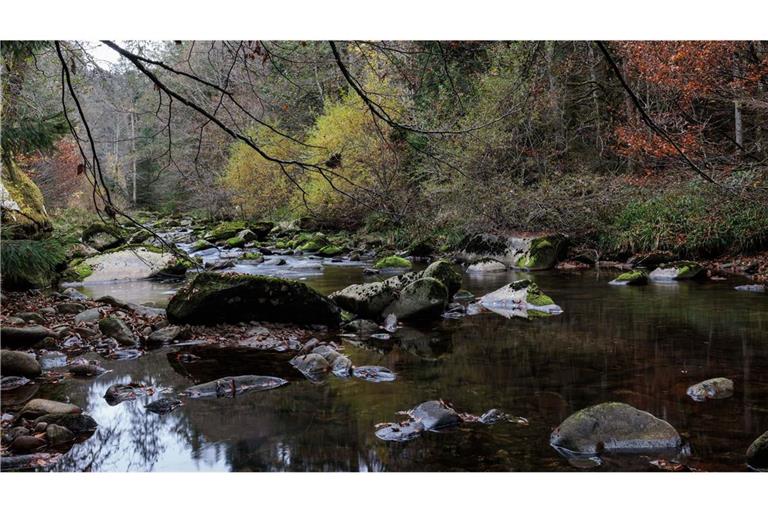 Der Fluss Schönmünz fließt durch das gleichnamige Tal.