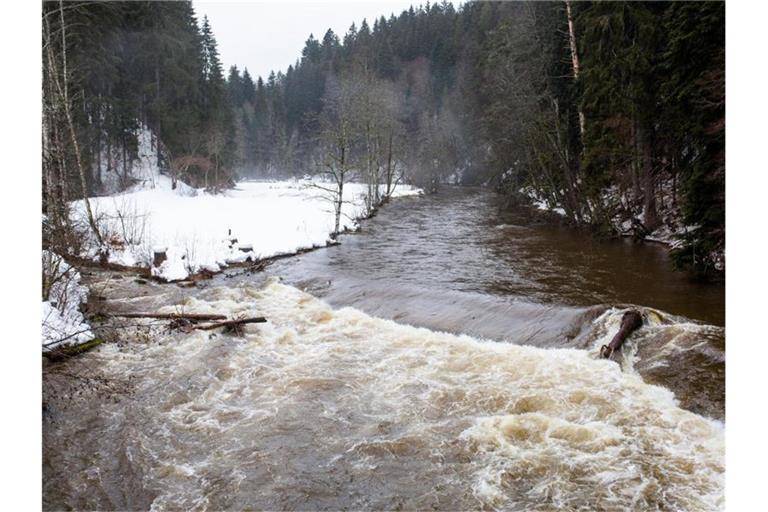 Der Fluss Wutach fließt durch die gleichnamige Schlucht. Foto: Philipp von Ditfurth/dpa/Archivbild