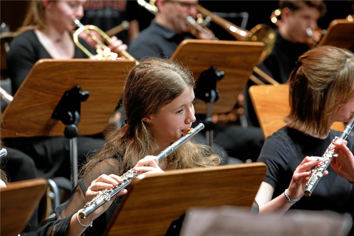 Der Förderverein der Jugendmusik- und Kunstschule Backnang unterstützt die Orchester und Ensembles. Foto: J. Fiedler