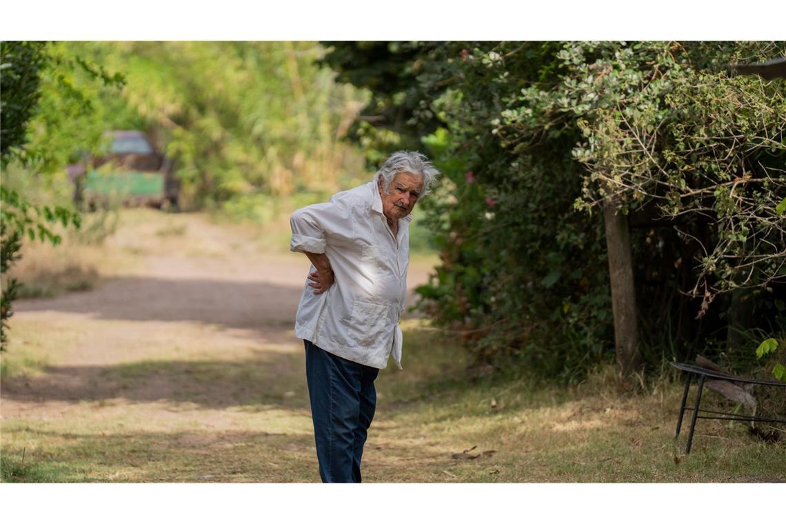Idol der Linken: Uruguays Ex-Präsident Mujica gestorben Der frühere Präsident züchtete auf seiner Farm in der Nähe von Montevideo Blumen. (Archivbild)