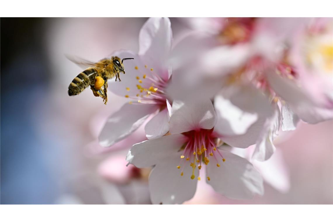Wechselhaftes Wochenende und Wettermix zum Wochenstart Der Frühling versteckt sich am Wochenende wieder etwas mehr.