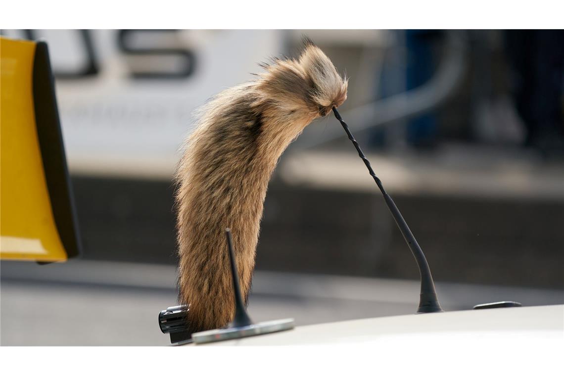 Der Fuchsschanz war für viele Fahrer des Opel Manta unverzichtbar.