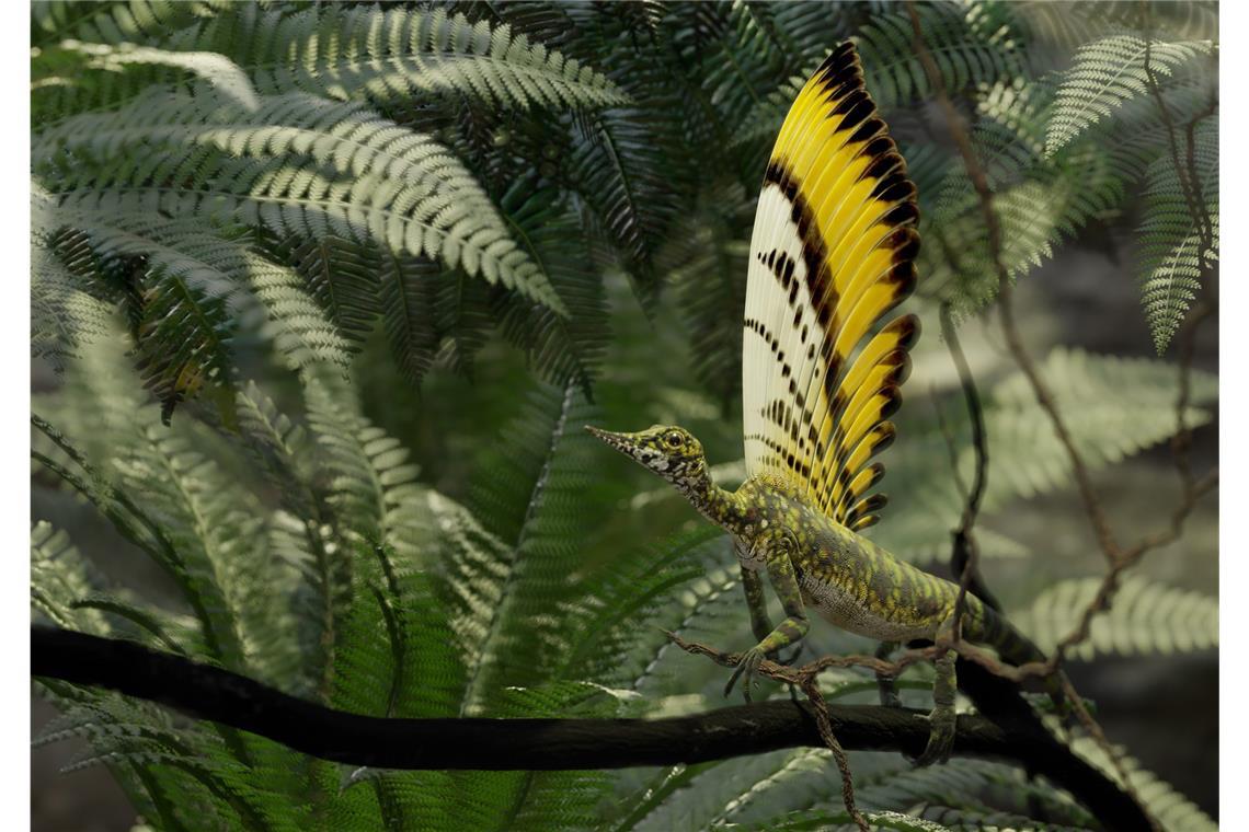 Wie ein fossiler „Wundersaurier“ das Verständnis der Reptilien-Evolution verändert Der Fund zeigt, dass komplexe Hautstrukturen nicht nur bei Vögeln und ihren nächsten Verwandten vorkommen, sondern möglicherweise bereits vor den modernen Reptilien existierten. Die Entdeckung einer frühen, 247 Millionen Jahre alten “Federalternative“ erweitert das Verständnis der Evolution der Reptilien grundlegend.