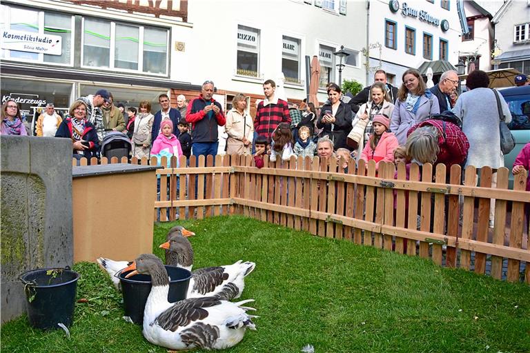 Was an diesem Wochenende in der Region geboten ist Der Gänsemarkt lockt am Sonntag in die Backnanger Innenstadt. Archivfoto: Tobias Sellmaier