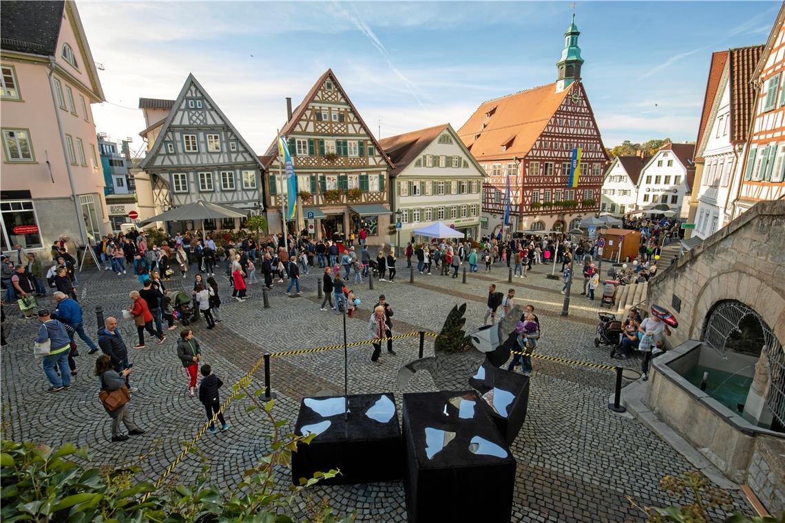 Der gans andere Backnanger Gänsemarkt mit verkaufsoffenem Sonntag