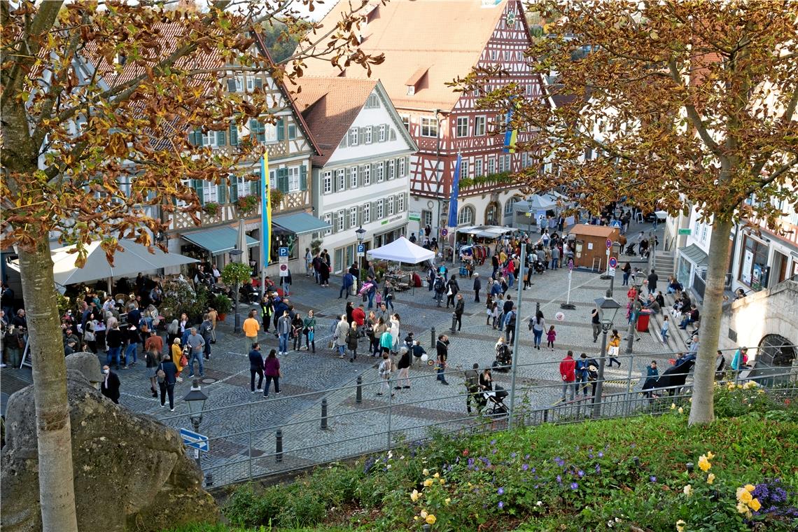 Der gans andere Backnanger Gänsemarkt mit verkaufsoffenem Sonntag