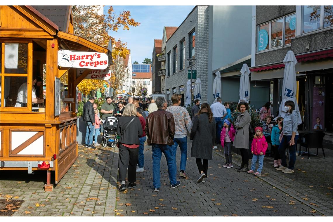 Der gans andere Backnanger Gänsemarkt mit verkaufsoffenem Sonntag