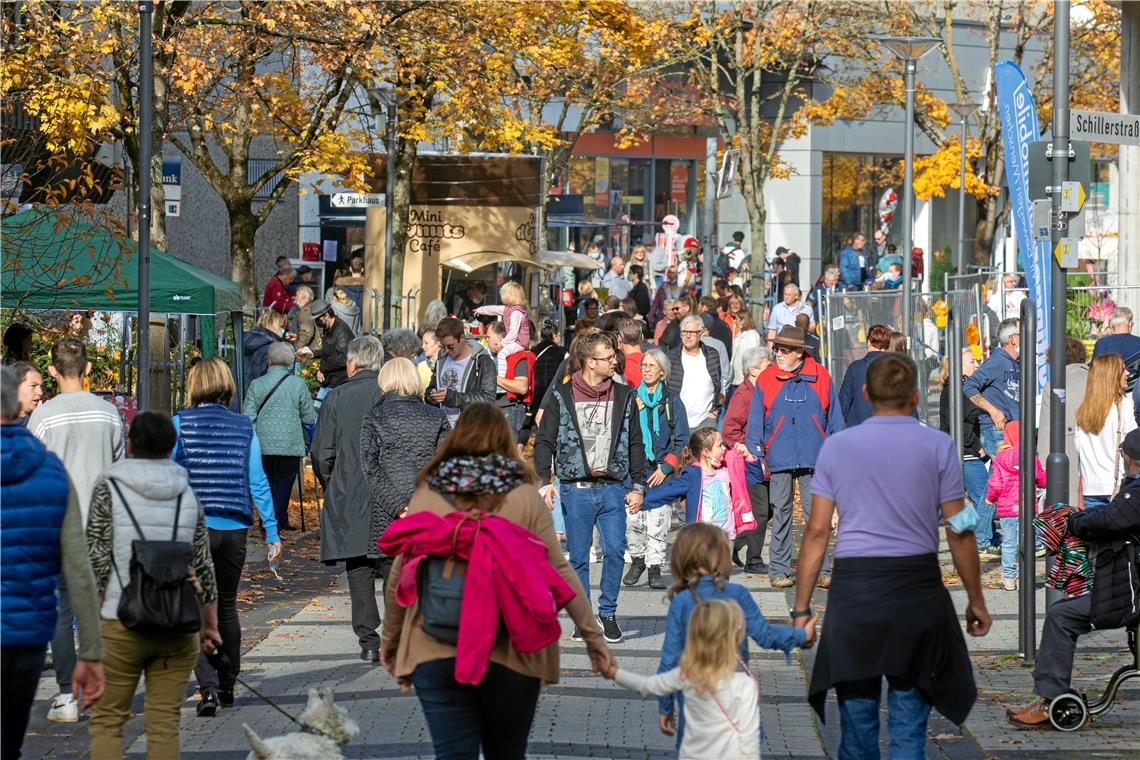 Der gans andere Backnanger Gänsemarkt mit verkaufsoffenem Sonntag