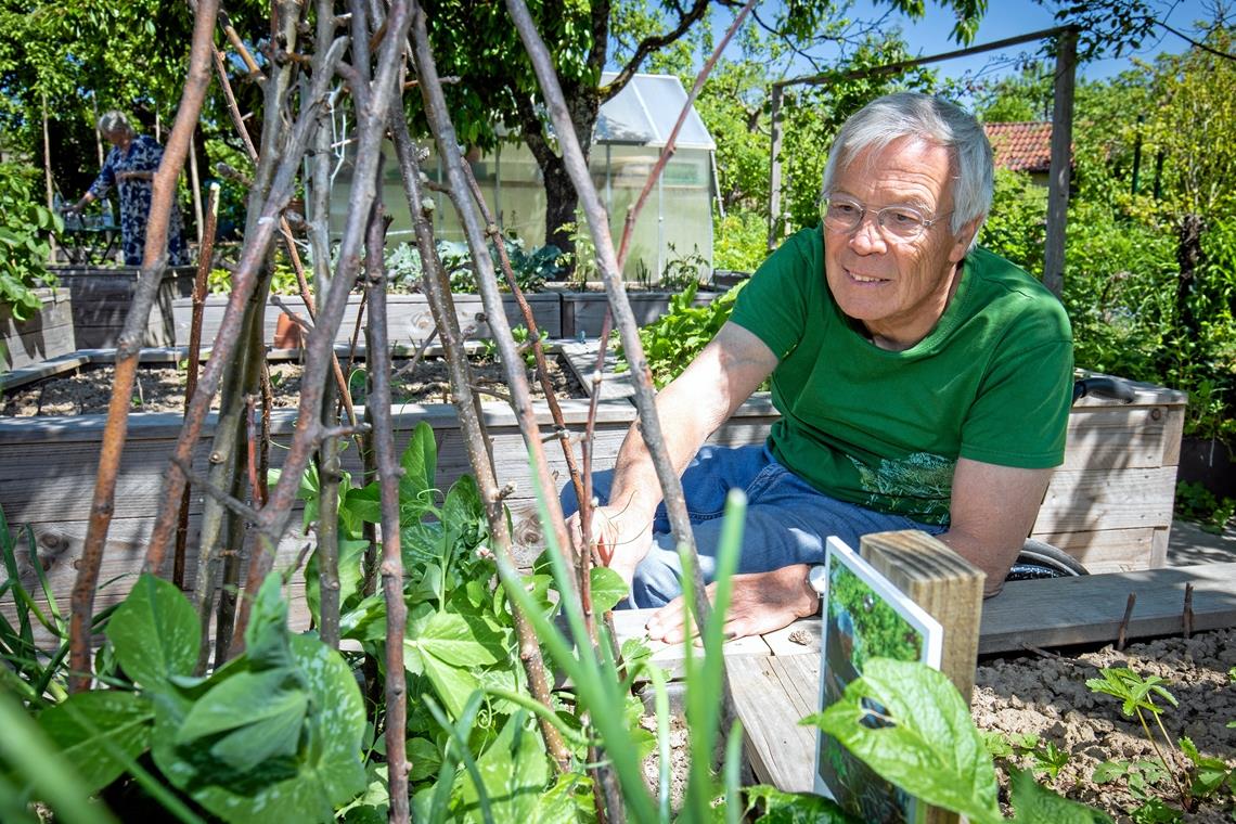 Der Garten ist sein großes Hobby: Rainer Heitzmann beim Unkrautjäten zwischen den Hochbeeten. Foto: A. Becher