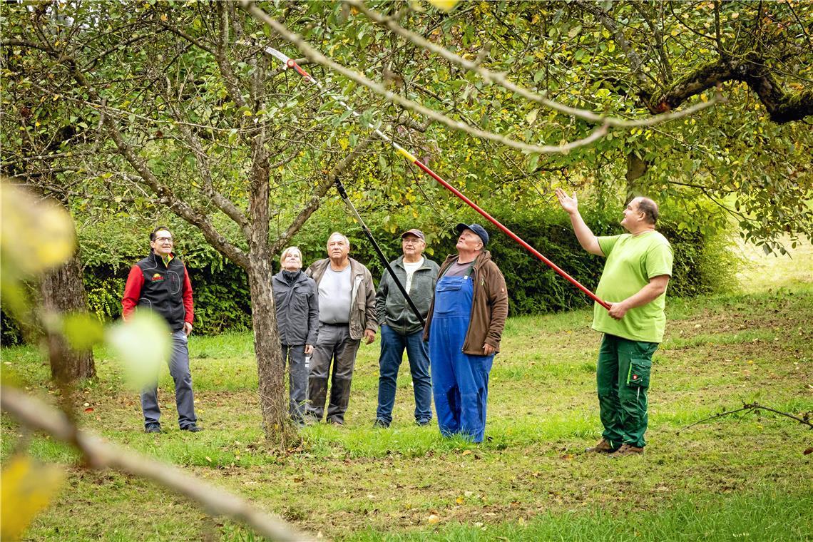 Dürre Zeiten im regionalen Streuobst