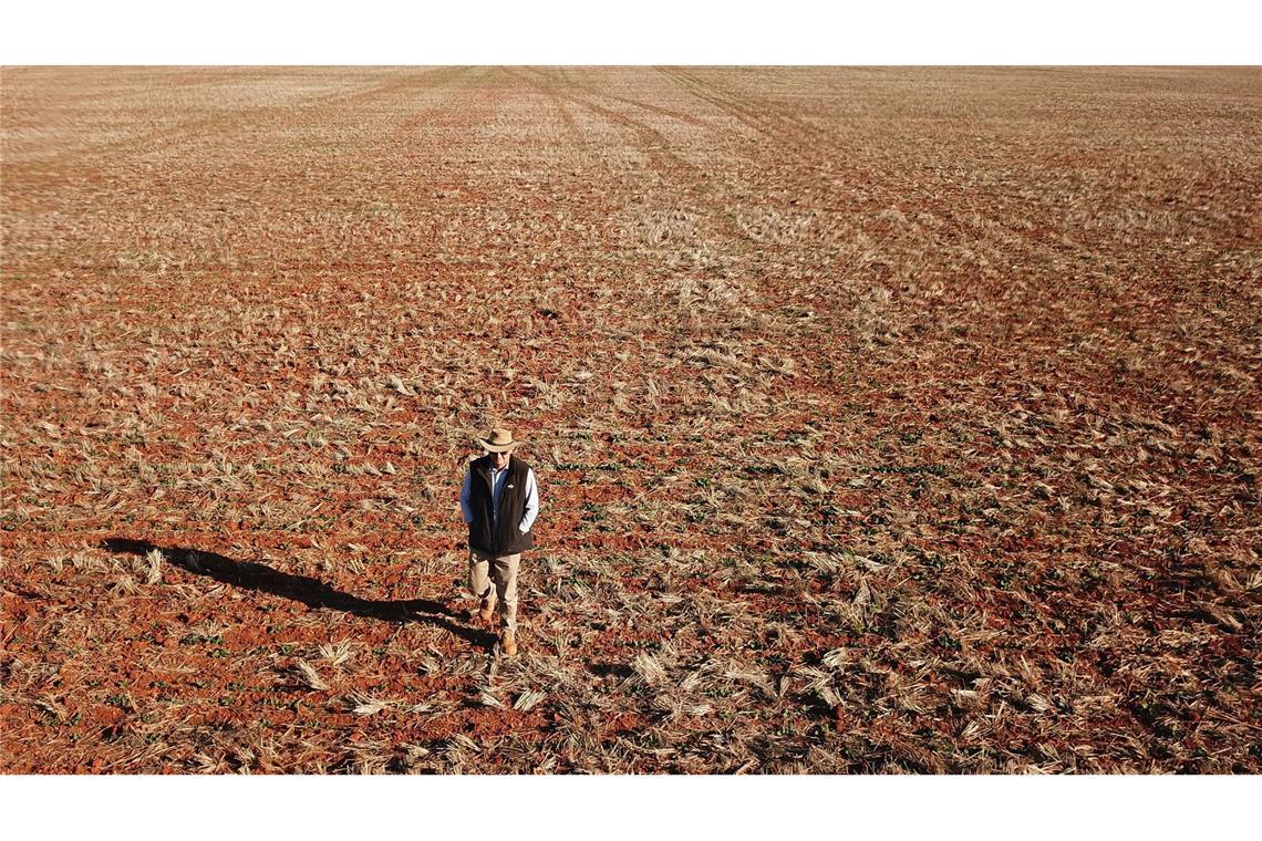 Warum Mega-Dürren weltweit häufiger und länger werden Der Getreidebauer Neil Westcott geht in der Nähe von Parkes über sein vertrocknetes Rapsfeld. Im australischen Bundesstaat New South Wales herrscht derzeit eine extreme Dürre.