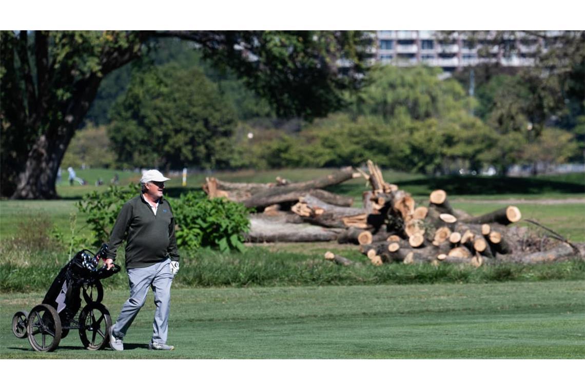 Der Golfplatz in Washington. Ein Teil der Bäume ist bereits gefällt worden, entgegen der Weisung des Gerichts