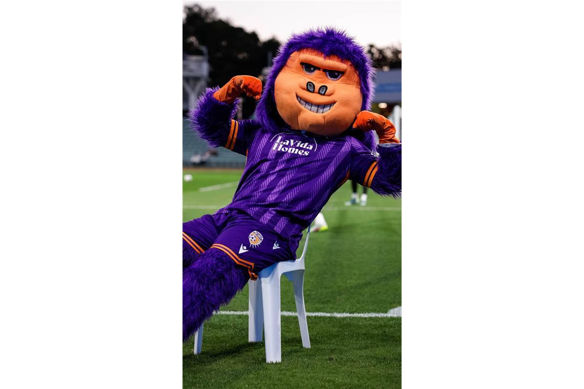 Der Gorilla George lässt bei Heimspielen des australischen Erstligisten Perth Glory seine Muskeln spielen.