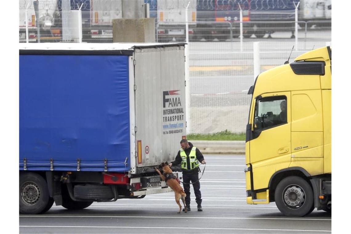 Nach britischem EU-Austritt warten harte Verhandlungen Der Grenzübertritt wird langwieriger: Ein Spürhund durchsucht die wartenden Lastwagen im Hafen von Calais in Frankreich, bevor sie auf die Fähren nach Großbritannien fahren. Foto: Steve Parsons/PA Wire/dpa