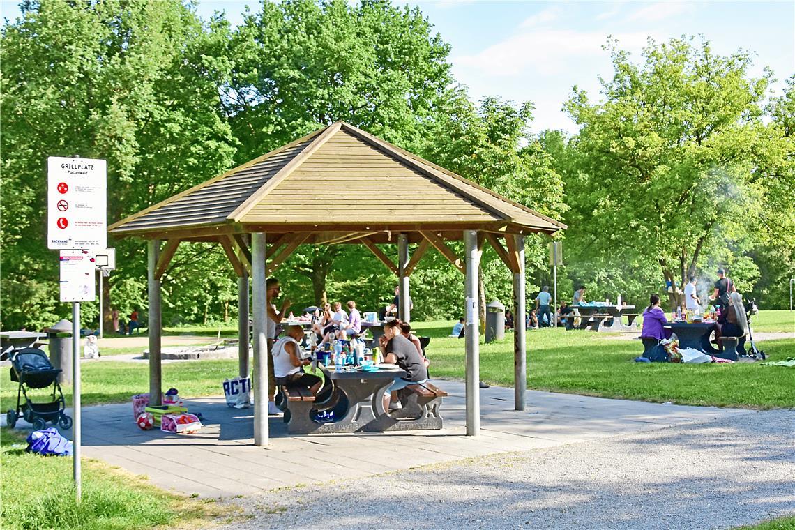 Der Grillplatz im Plattenwald ist im Sommer meist gut besucht. Foto: Tobias Sellmaier