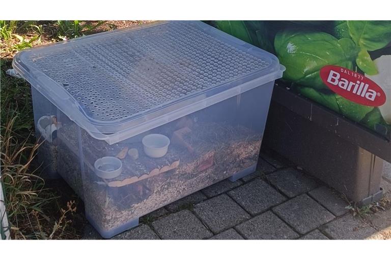 Der Hamster hatte offenbar mehrere Tage keinen Zugang zu Nahrung und Flüssigkeit.