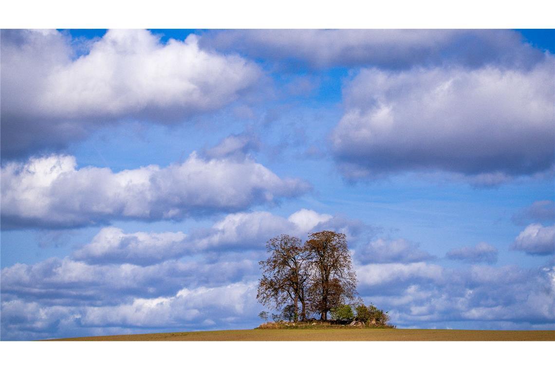 Bilder des Tages Der Herbst ist da