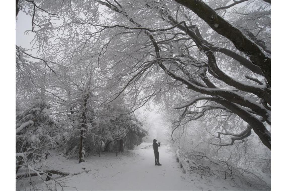 Der Herbst verabschiedet sich mit Schnee im Taunus. Foto: Boris Roessler/dpa