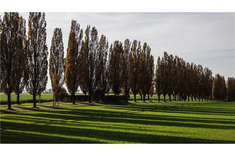 Der Herbst zeigt sich am Freitag noch von seiner freundlichen Seite.