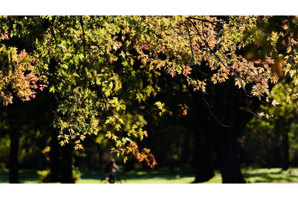 Der Herbst zeigt sich von seiner schönen Seite.
