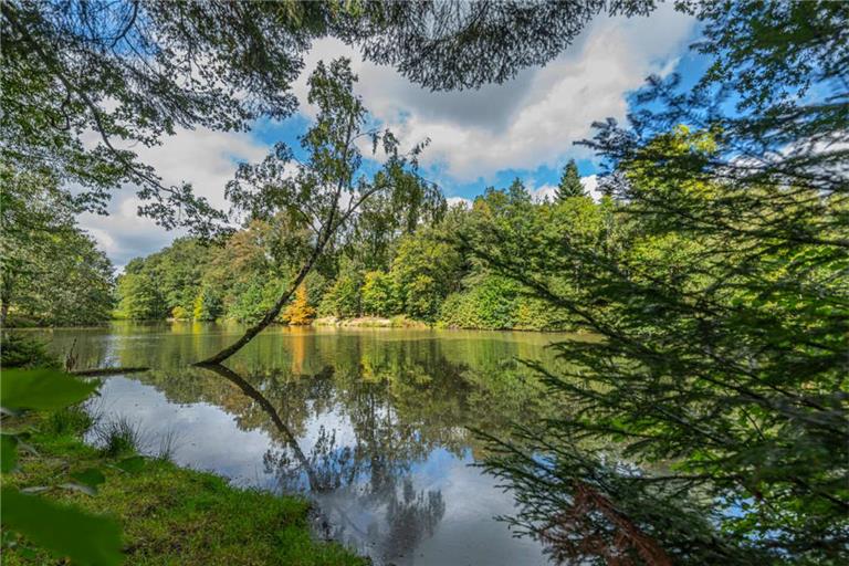 Der idyllische Ropbachsee. Foto: Schwäbischer Wald Tourismus
