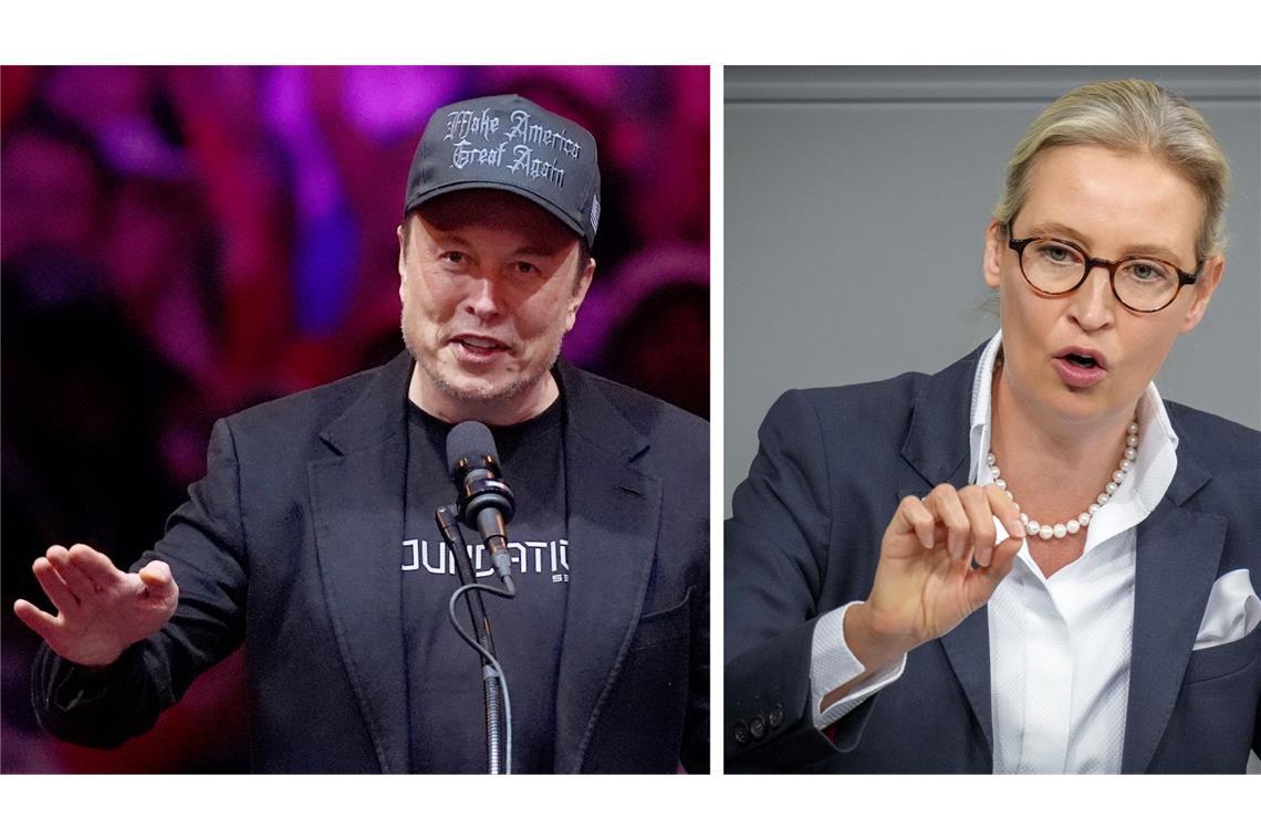 Musk lacht, Weidel schwärmt: So lief das umstrittene Gespräch ab